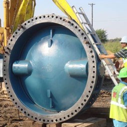 Butterfly-Valve